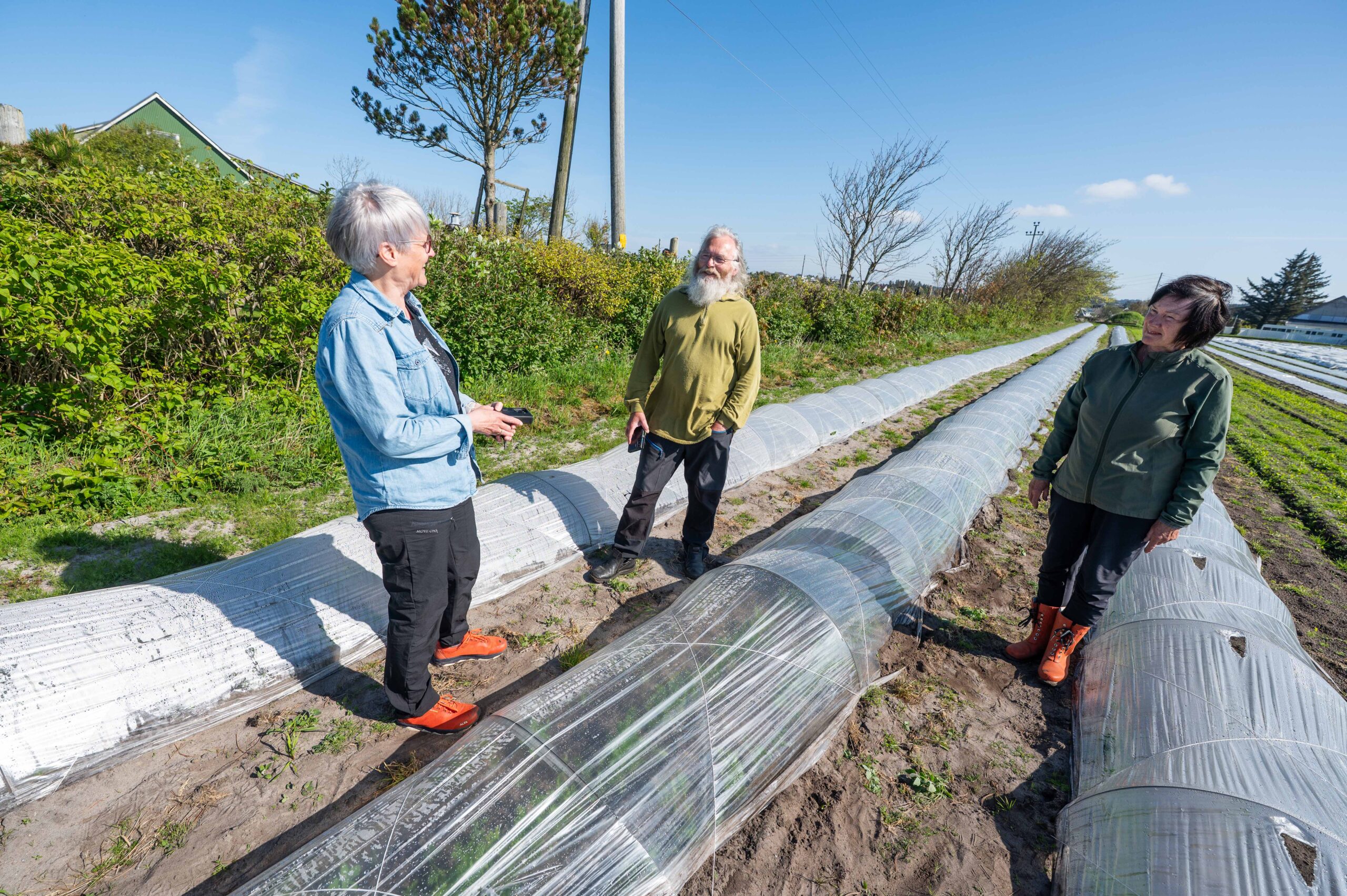Gunnar og Karin Lurane dyrker grønnsaker på Ferkingstad. Her i prat med Inger Kallevik Haavik fra Haugaland Vekst.
FOTO: TORSTEIN TYSVÆR NYMOEN, HAUGALAND VEKST